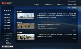 深圳特安電子與廣州企業(yè)網(wǎng)站服務(wù) 融合安全科技與數(shù)字營(yíng)銷(xiāo)的跨城合作