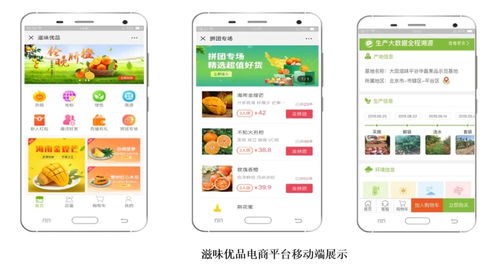 智慧農(nóng)業(yè)新篇章 1.28億元數(shù)字化服務(wù)，守護(hù)農(nóng)產(chǎn)品安全生命線(xiàn)